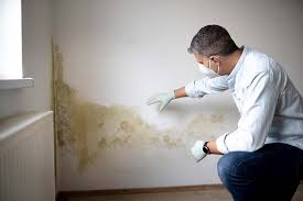 Best Environmental Consulting for Mold Prevention  in Fountain Inn, SC